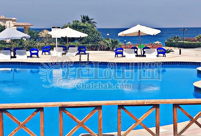8028641 - صورة العقار 2