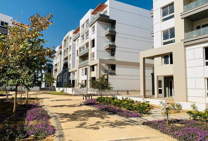 8329167 - صورة العقار 3