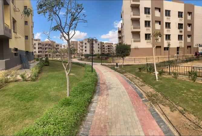 8321352 - Property Image 3