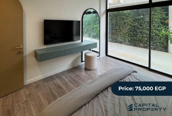 8082699 - Property Image 3