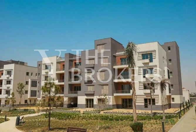 8050582 - Property Image 2