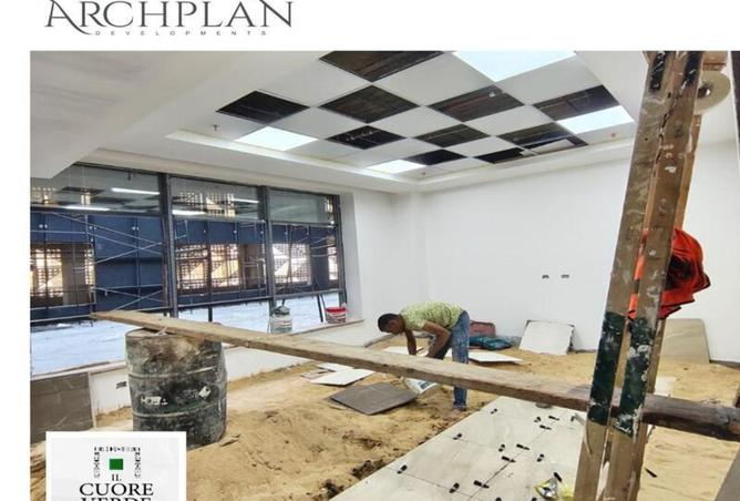 8460561 - Property Image 3