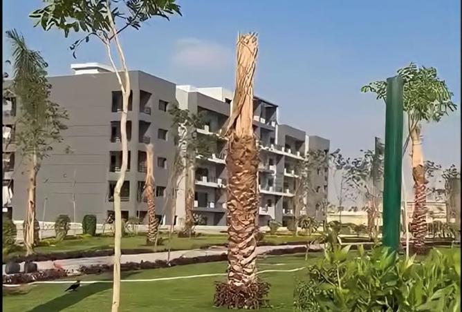 8417546 - صورة العقار 3