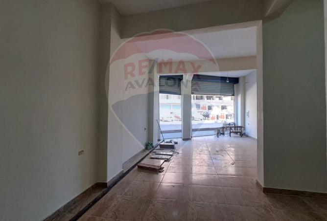 8238162 - Property Image 3