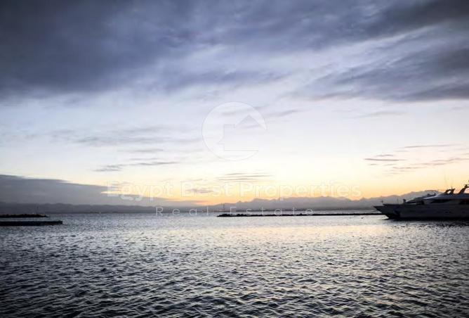 8159081 - Property Image 3