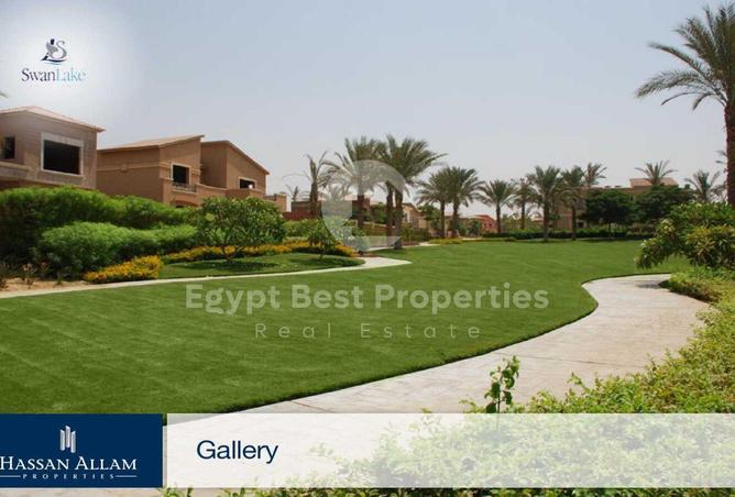 8070104 - صورة العقار 3