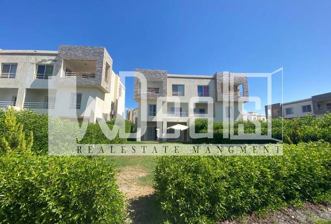 8091652 - Property Image 3