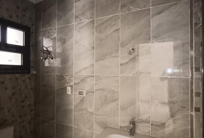 7975516 - Property Image 3