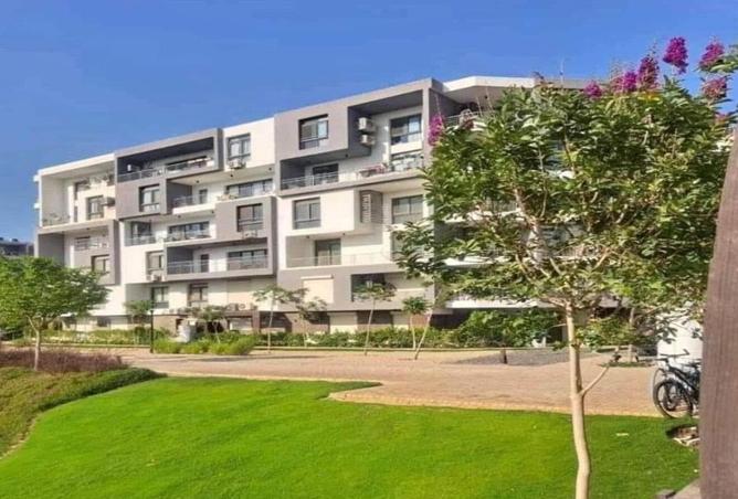 8161580 - Property Image 3