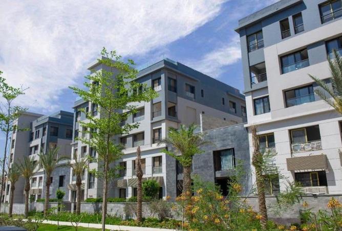 8162032 - Property Image 2