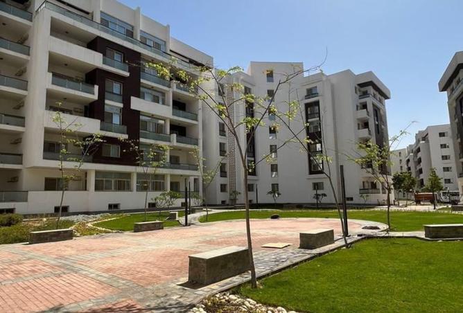 8389459 - Property Image 2