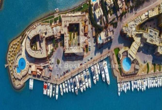 7955831 - صورة العقار 2