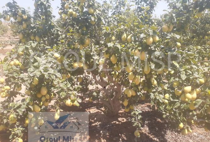 8282925 - Property Image 2