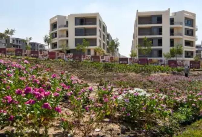 8268239 - صورة العقار 3