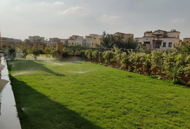 8274389 - Property Image 3