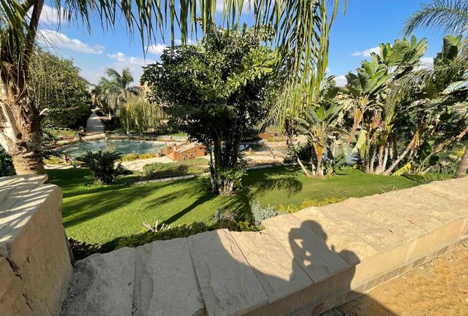 8346842 - صورة العقار 3