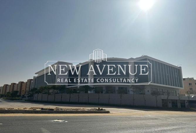 8099250 - Property Image 3