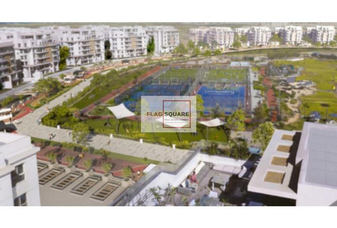 8507826 - Property Image 3