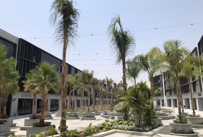 8235206 - Property Image 3