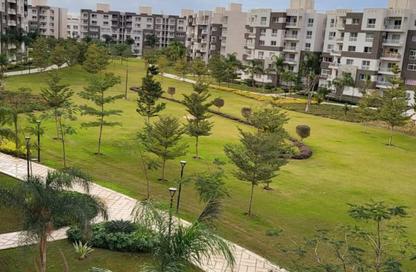 Apartment - 3 Bedrooms - 2 Bathrooms for sale in Madinaty - Cairo