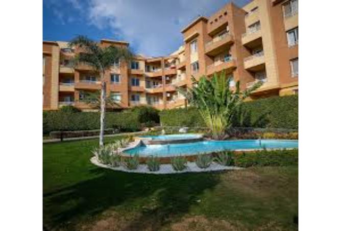7980545 - Property Main Image