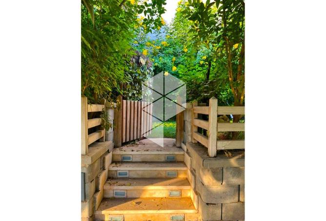 8331687 - صورة العقار 3