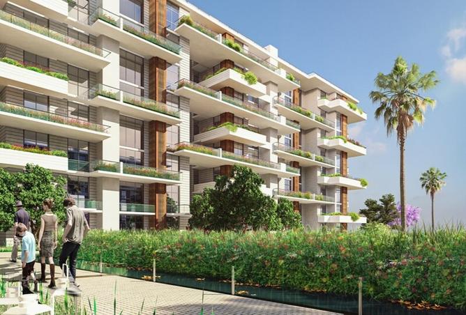 8447765 - Property Image 3