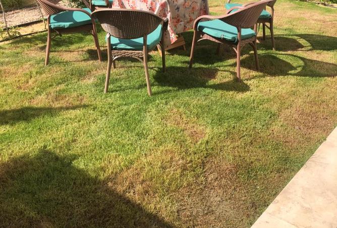 8108797 - Property Image 2