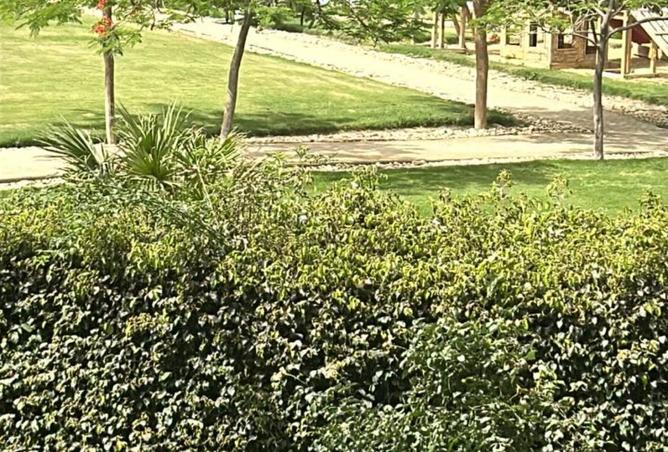 8248436 - الصورة الرئيسية للعقار