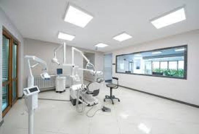 8090838 - Property Image 2
