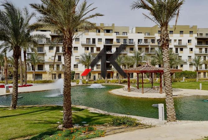 8479597 - Property Image 3