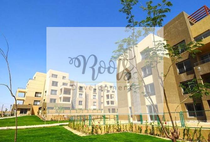 7924085 - Property Image 3