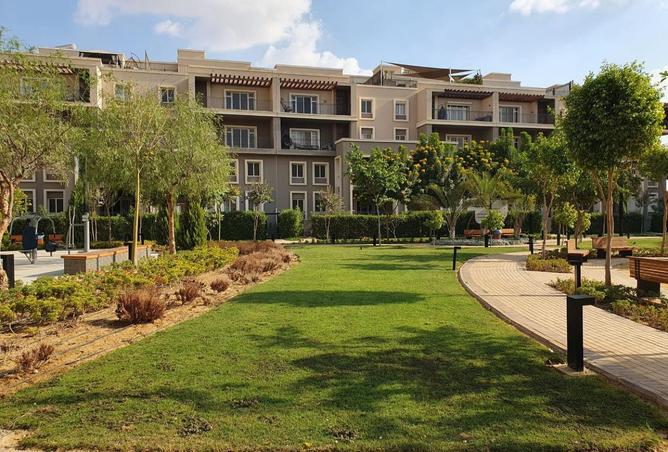 8247520 - صورة العقار 3