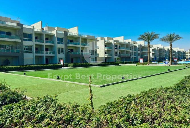 8419968 - صورة العقار 2