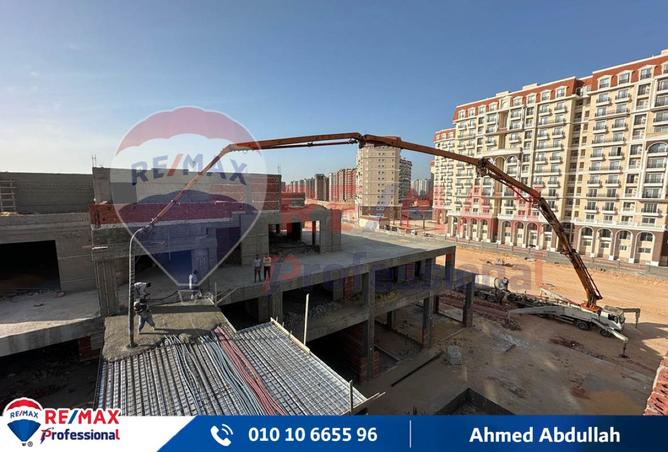 7851989 - Property Image 3