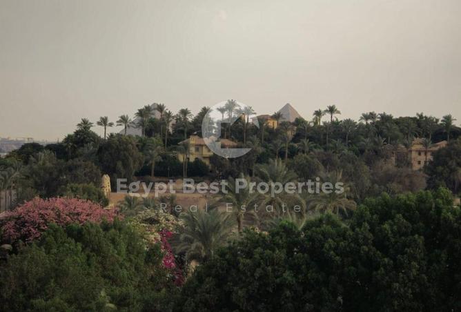 8407018 - صورة العقار 3