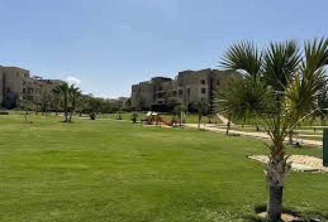 8173144 - صورة العقار 3