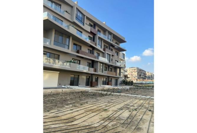 8436093 - Property Image 3