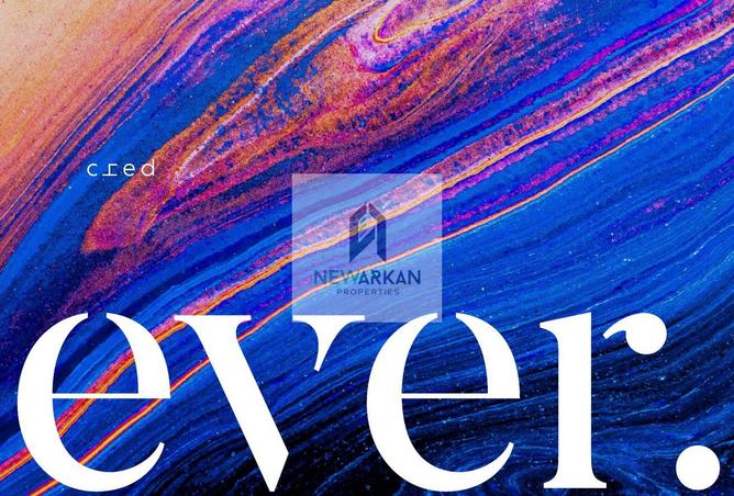 8271904 - Property Image 3