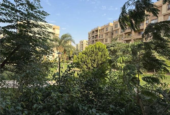 8254768 - الصورة الرئيسية للعقار