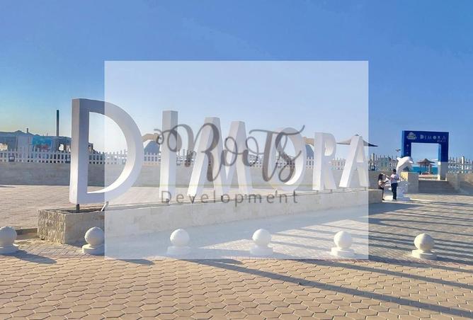 7889627 - Property Image 2
