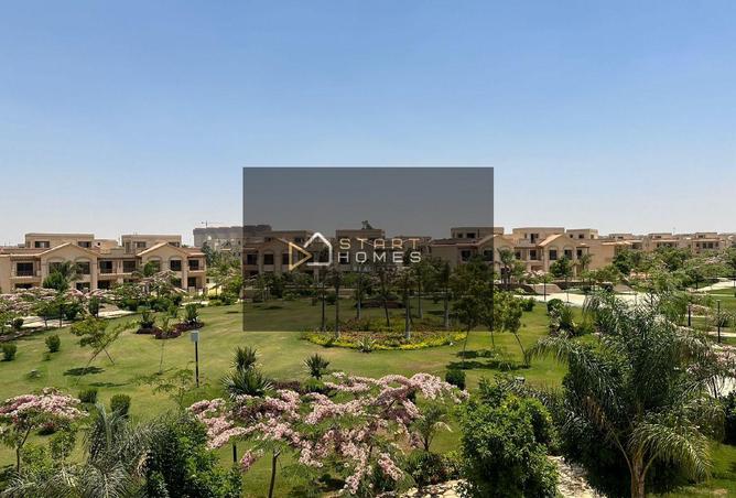 8215444 - Property Image 3