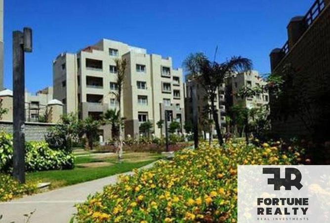 8348016 - Property Image 3