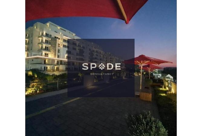 7929391 - Property Image 2