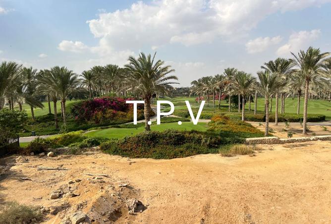 8013911 - Property Image 3