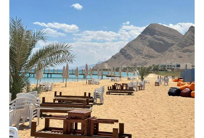 8445603 - الصورة الرئيسية للعقار