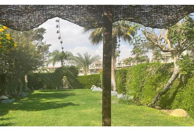 7904153 - Property Image 2