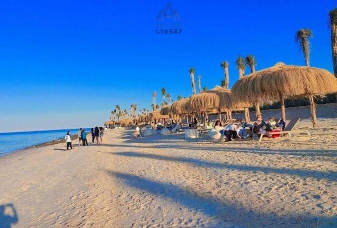 8519111 - صورة العقار 2