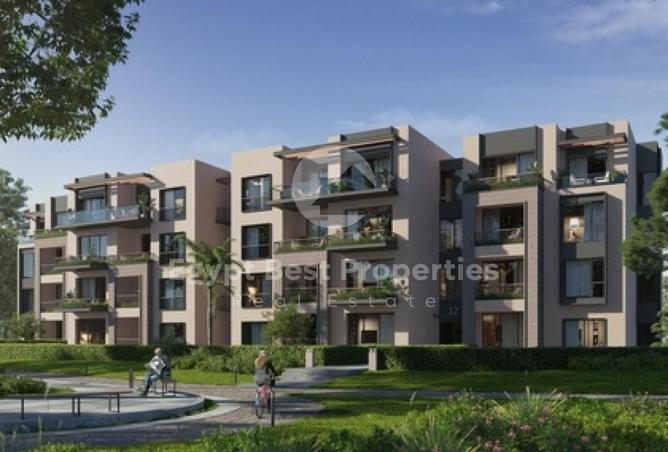 8355209 - Property Image 3