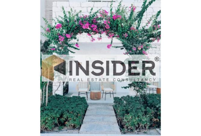 8293408 - Property Image 3